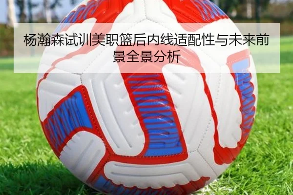 杨瀚森试训美职篮后内线适配性与未来前景全景分析