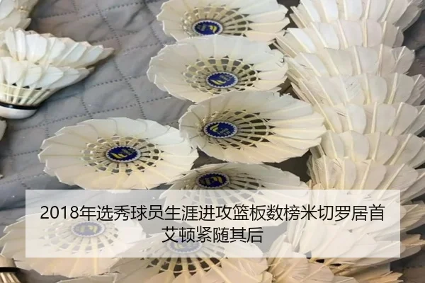 2018年选秀球员生涯进攻篮板数榜米切罗居首艾顿紧随其后